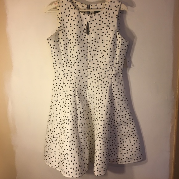 White and black, sleeveless, fit and flare dress - Picture 4 of 7